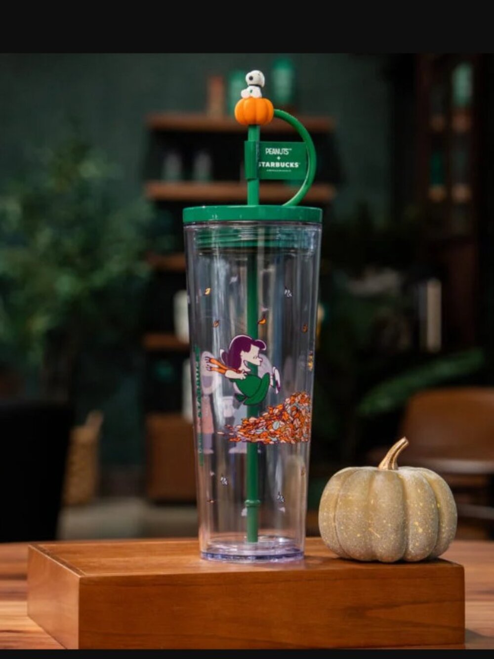 Deadstock Starbucks x Peanuts Snoopy 2026 Limited Edition Bundle of 6 NEW - Picture 4 of 16